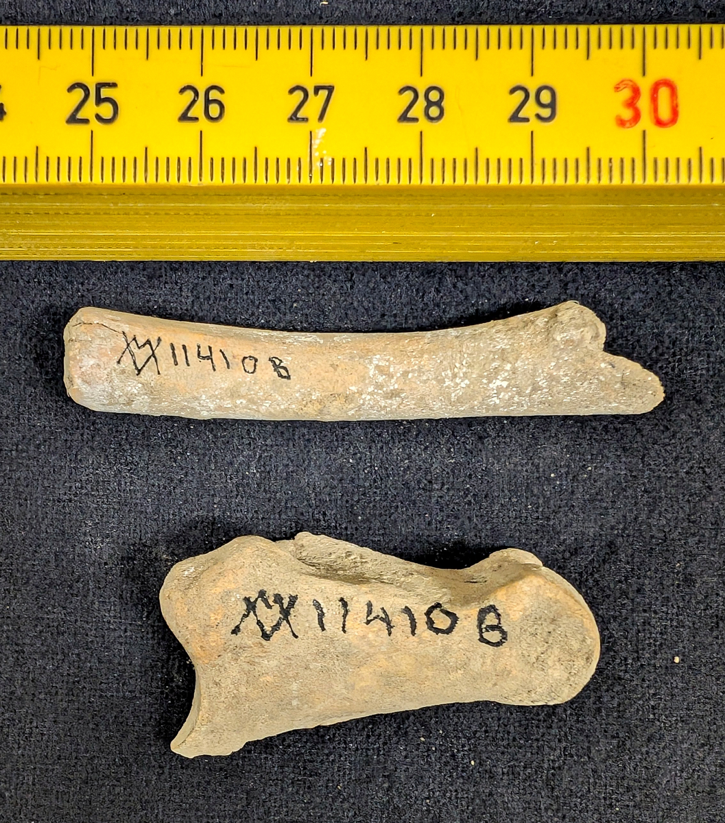 11 410: a-c: Gåsholmen.

b: Keramikskärvor, 2 st. oornerade.
- Brända ben, 14 st
- Ben, 2 st.
- Lerklumpar, ett 20-tal.

Ingår i en samling boplatsfynd VM11410 tillsammans med: 
a. Järnföremål, 1 st. Rostat.
- Kritpiperör, 1 st.

c: Ben, 2 st.
- Kritpiperör, 1 st.
- Pinne, 1 st. Kritpiperör.