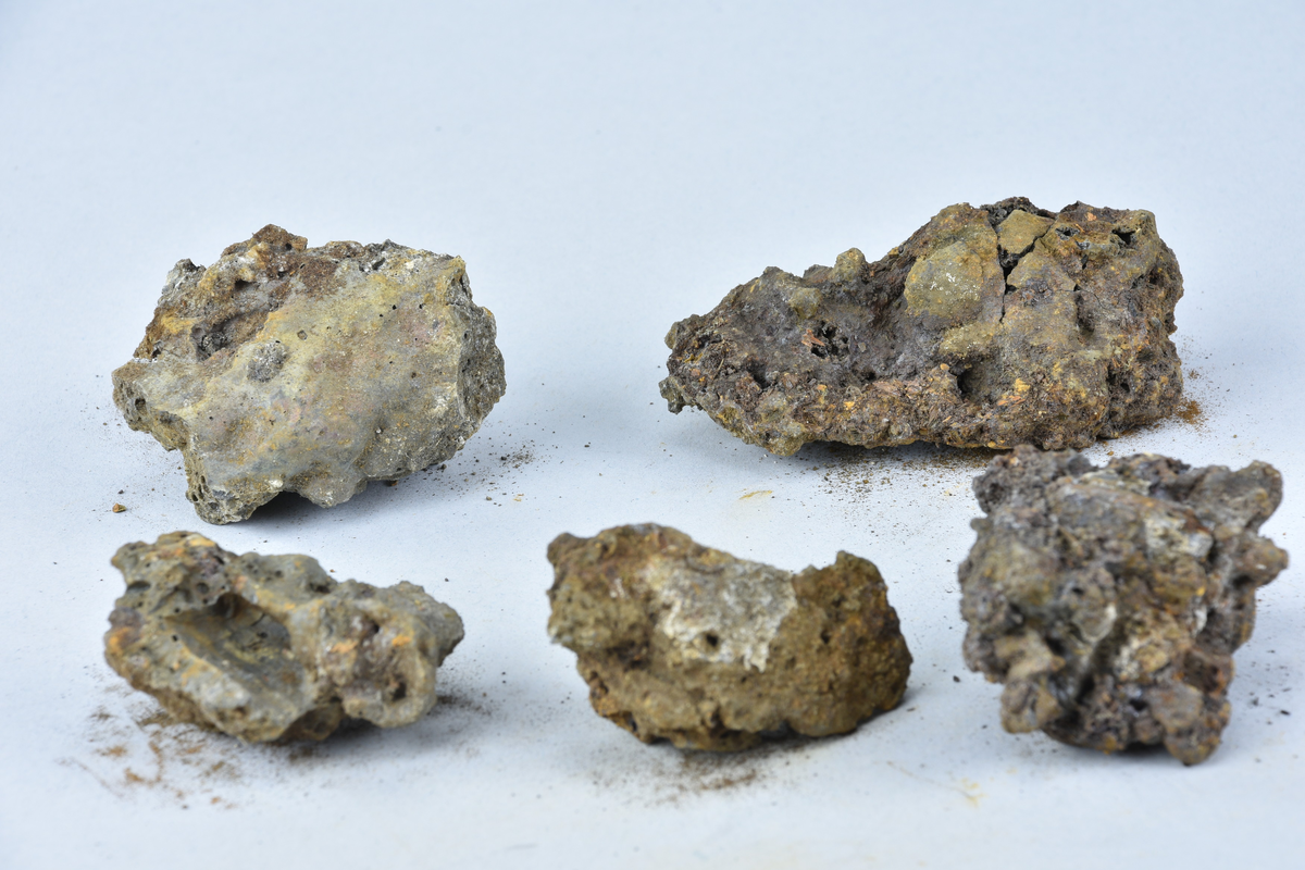 Fem stycken av osmundslagg. (Nihléns undersökningar, Smedjegatan schakt I)
Storled mellan 40 - 90 mm. Sammanlagd vikt 415 g.