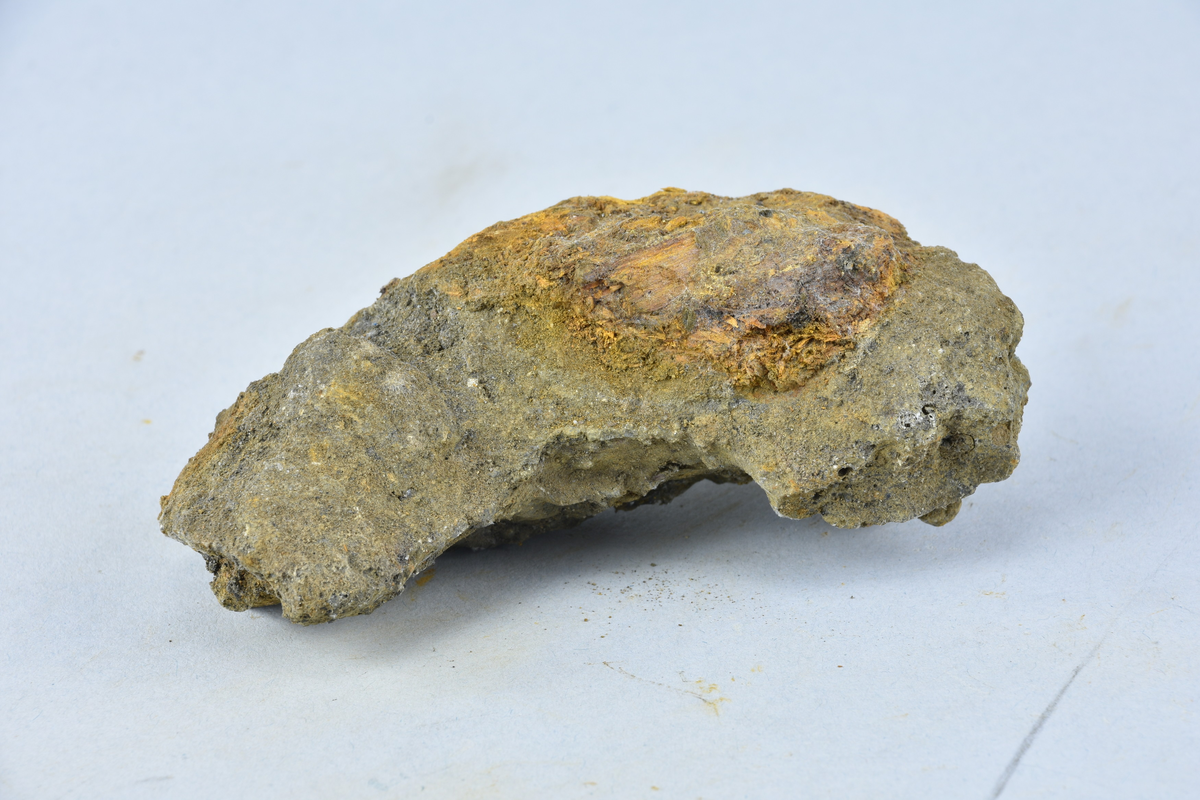 Stycke av osmundslagg. (Nihléns undersökningar, Smedjegatan 10 schakt II)