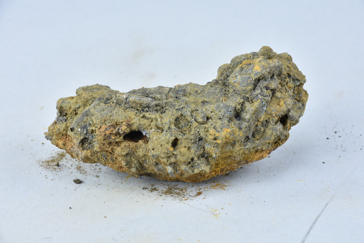 Stycke av osmundslagg. (Nihléns undersökningar, Smedjegatan 10 schakt II)