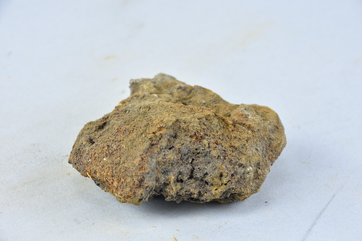 Stycke av osmundslagg. (Nihléns undersökningar, Smedjegatan 10 schakt II)