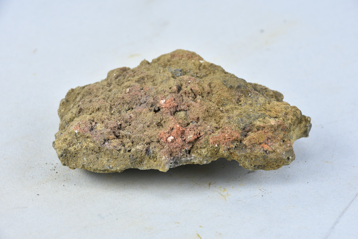 Stycke av osmundslagg. (Nihléns undersökningar, Smedjegatan 10 schakt II)