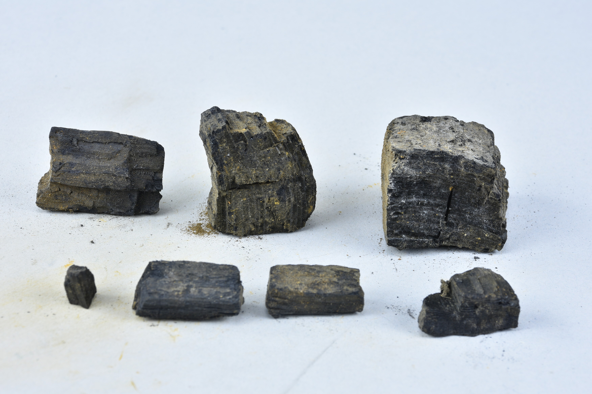 Sex stycken av träkol. (Nihléns undersökningar, Smedjegatan 10 schakt II) Sammanlagd vikt 250 g. Storlek mellan 10 - 45 mm.