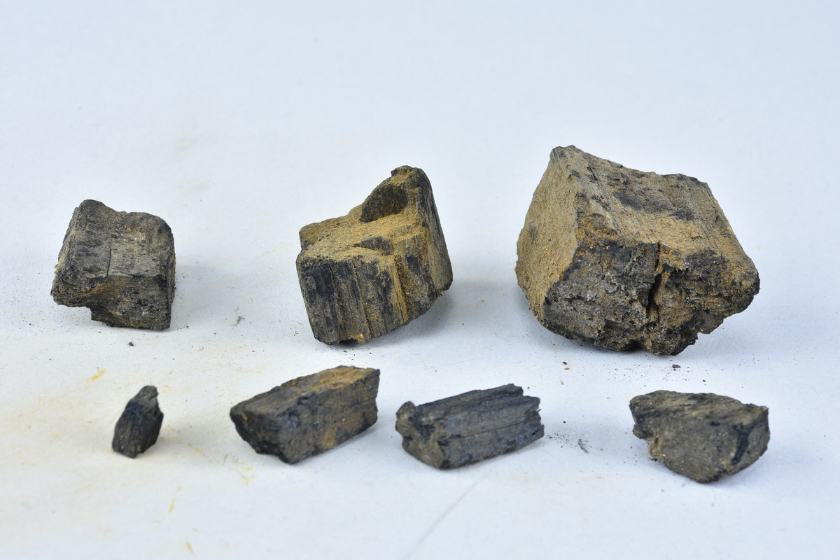 Sex stycken av träkol. (Nihléns undersökningar, Smedjegatan 10 schakt II) Sammanlagd vikt 250 g. Storlek mellan 10 - 45 mm.