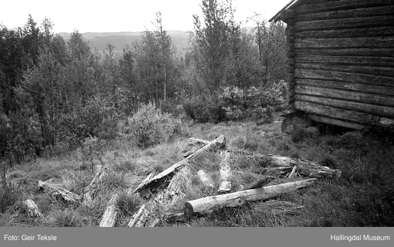Ruin etter hestestall, Lysern,  Rukkedalen
Ruin, Lysern, Rukkedalen,  Reg.nr. 007. Husløpenr.929
