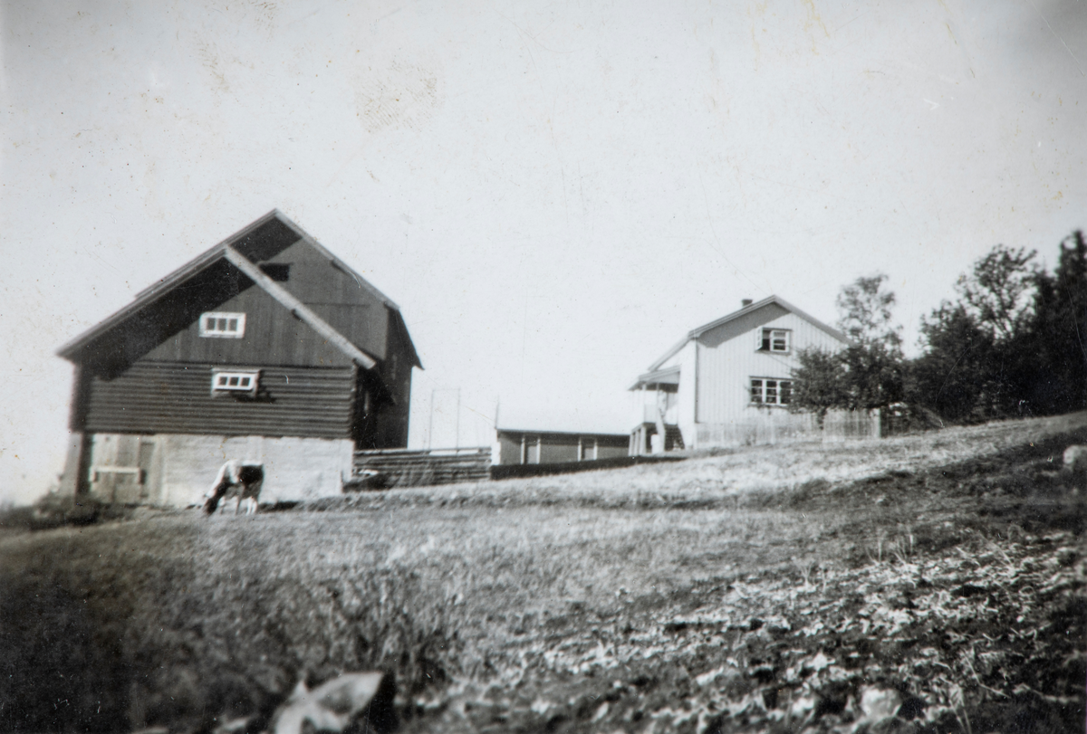 Mostuødegården, Strandlykkja. Trolig 1950-tallet. (Adresse: Spitalsvegen, Espa)