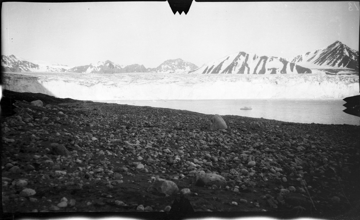 Bre nr. 1 i Cross- bay. "14. juli breen". -Fra kartleggingen av Svalbard i 1906/07.
