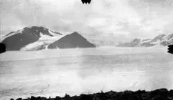 Fra Red. bay og Liefdbay. -Fra kartleggingen av Svalbard i 1