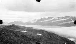 Fra Red. bay og Liefdbay. -Fra kartleggingen av Svalbard i 1