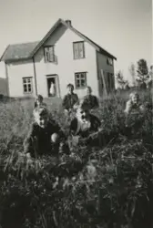 Seks elever utenfor Underås skole i Skotsfjord i Steigen. Foran fra venstre er Trygve Kristensen (f. 1948) og Ragnhild Reinsnes. Midt i bildet bak sitter Harry Odd Nilsen (f. 1946) og Atle Roy Hansen (f. 1947). Ytterst til Høyre: Bjørg Eline Hansen (f. 1946).
Underås skole var internatskole og i døra står pedell/husmor Anlaug Heitman.