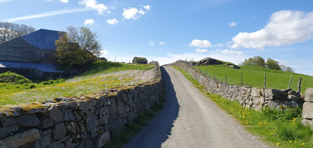 Grusbakke med steingard og grøne marker på kvar side. Blå himmel med kvite skyer. Dette er vegen frå informasjonsbygget og opp til hovudvegen