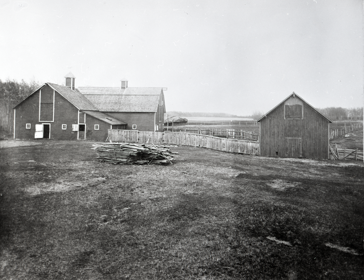 Farm i USA