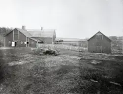 Farm i USA
