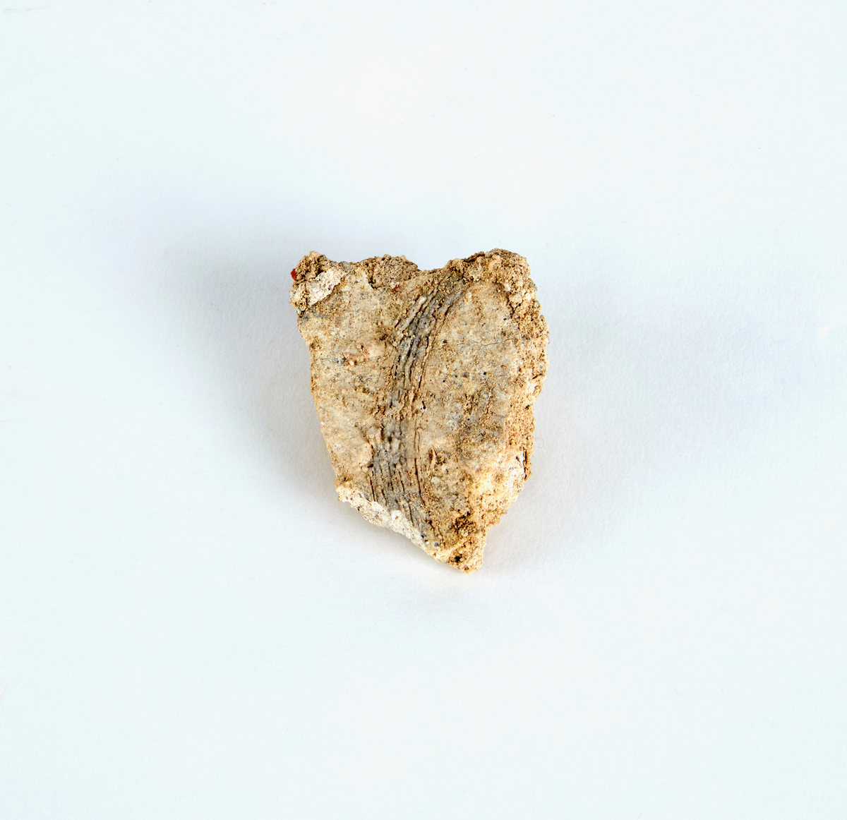 En samling av fragment av målad puts och bruk med kalkputs och bemålning. 17 fyndaskar med fragment i olika storlekar.

Fyndask 1: Totalt 13 fragment med röd och vit färg, en ser ut att ha träavtryck (varit fäst mot ett trästycke).

Fyndask 2: Totalt 7 fragment alla utom en har röd och vit färg, endast en med gråaktig obehandlad puts. 

Fyndask 3: Totalt 1 större fragment med röd och vit färg på enda sidan.

Fyndask 4: Totalt 4 fragment alla utom en med röd och vit färg, endast en med vit puts. 

Fyndask 5: Totalt 3 fragment med röd och vit färg, varav en är sotig. 

Fyndask 6: Totalt 3 fragment med röd och vit färg, en mycket tydlig medan de andra två mer diffusa. 

Fyndask 7:  Totalt 27 fragment, 24 av dessa är bemålade med röd och vit färg, 3  fragment med gråaktig obehandlad puts. 

Fyndask 8: Totalt 5 fragment, varav 4 större och en mycket liten. Alla större fragment med olika karaktär. En med vit kalkbruk och utan putsad yta, en annan med svart och röd putsad yta. Det tredje fragmentet har lite rödfärgad puts bevarad och på andra sidan ser det ut att ha träavtryck (varit fäst mot ett trästycke). Det fjärde fragmentet har en mer brungrå nyans. I fyndasken låg en lapp med text N. om V. portalen. 

Fyndask 9: Totalt 13 fragment, varav ett större fragment med svart och rödmålad puts. Ett annat fragment med svart och vitmålad puts, det tredje fragmentet har endast svartmålad puts. Sedan finns tre rödmålande putsfragment, samt tre fragment med röda linjer. Fyra fragment är ytterst små och intetsägande.

Fyndask 10: Totalt 9 fragment samt smådelar varav två har rött färgfragment. Det största fragmentet samt fyra andra är svart- och rödmålat. Tre putsfragment har röda linjer.
 
Fyndask 11: Totalt 1 fragment med röda linjer samt en mindre del med blågråa linjer. 

Fyndask 12: Totalt 1 fragment med blågrå rundad linje samt samt en mindre punkt eller koncentration nedanför.  

Fyndask 13: Totalt 5 fragment varav två med rödmålad puts. De andra tre har linjer. 

Fyndask 14: Totalt 1 fragment med vit och rödmålad puts, med flertal linjer som eventuellt kan vara del av en bokstav.
 
Fyndask 15: Totalt 1 fragment med vit och svartmålad puts, med flertal linjer som eventuellt kan vara del av en större figur. Ena delen syns en större koncentration som skulle kunna vara en fågel. 

Fyndask 16: Totalt 1 fragment med vit och rödmålad puts, med flertal rundade linjer som eventuellt kan vara del av växtlig dekor.

Fyndask 17: Totalt 1 fragment med rödmålad puts, med en vit linje.