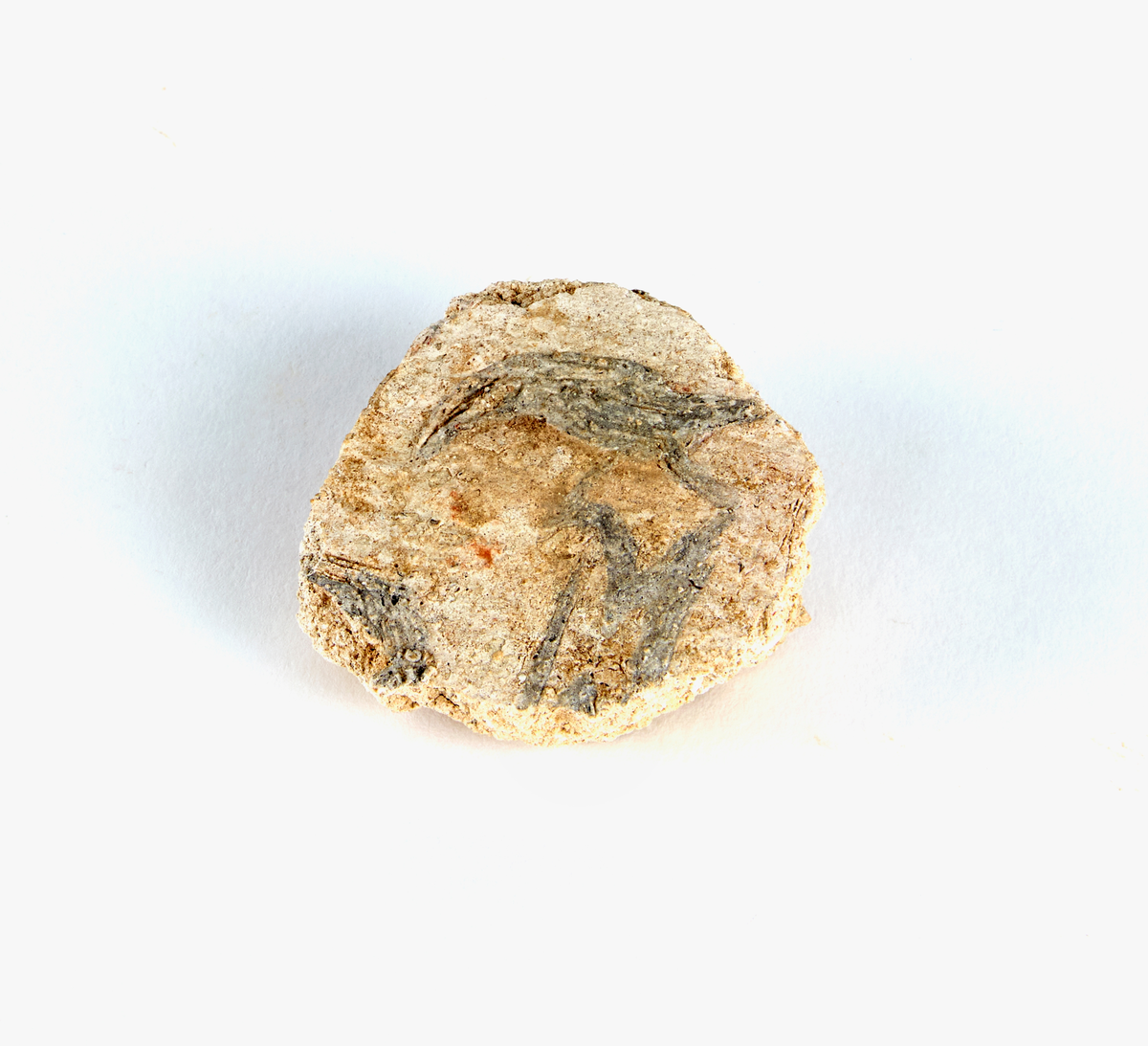 En samling av fragment av målad puts och bruk med kalkputs och bemålning. 17 fyndaskar med fragment i olika storlekar.

Fyndask 1: Totalt 13 fragment med röd och vit färg, en ser ut att ha träavtryck (varit fäst mot ett trästycke).

Fyndask 2: Totalt 7 fragment alla utom en har röd och vit färg, endast en med gråaktig obehandlad puts. 

Fyndask 3: Totalt 1 större fragment med röd och vit färg på enda sidan.

Fyndask 4: Totalt 4 fragment alla utom en med röd och vit färg, endast en med vit puts. 

Fyndask 5: Totalt 3 fragment med röd och vit färg, varav en är sotig. 

Fyndask 6: Totalt 3 fragment med röd och vit färg, en mycket tydlig medan de andra två mer diffusa. 

Fyndask 7:  Totalt 27 fragment, 24 av dessa är bemålade med röd och vit färg, 3  fragment med gråaktig obehandlad puts. 

Fyndask 8: Totalt 5 fragment, varav 4 större och en mycket liten. Alla större fragment med olika karaktär. En med vit kalkbruk och utan putsad yta, en annan med svart och röd putsad yta. Det tredje fragmentet har lite rödfärgad puts bevarad och på andra sidan ser det ut att ha träavtryck (varit fäst mot ett trästycke). Det fjärde fragmentet har en mer brungrå nyans. I fyndasken låg en lapp med text N. om V. portalen. 

Fyndask 9: Totalt 13 fragment, varav ett större fragment med svart och rödmålad puts. Ett annat fragment med svart och vitmålad puts, det tredje fragmentet har endast svartmålad puts. Sedan finns tre rödmålande putsfragment, samt tre fragment med röda linjer. Fyra fragment är ytterst små och intetsägande.

Fyndask 10: Totalt 9 fragment samt smådelar varav två har rött färgfragment. Det största fragmentet samt fyra andra är svart- och rödmålat. Tre putsfragment har röda linjer.
 
Fyndask 11: Totalt 1 fragment med röda linjer samt en mindre del med blågråa linjer. 

Fyndask 12: Totalt 1 fragment med blågrå rundad linje samt samt en mindre punkt eller koncentration nedanför.  

Fyndask 13: Totalt 5 fragment varav två med rödmålad puts. De andra tre har linjer. 

Fyndask 14: Totalt 1 fragment med vit och rödmålad puts, med flertal linjer som eventuellt kan vara del av en bokstav.
 
Fyndask 15: Totalt 1 fragment med vit och svartmålad puts, med flertal linjer som eventuellt kan vara del av en större figur. Ena delen syns en större koncentration som skulle kunna vara en fågel. 

Fyndask 16: Totalt 1 fragment med vit och rödmålad puts, med flertal rundade linjer som eventuellt kan vara del av växtlig dekor.

Fyndask 17: Totalt 1 fragment med rödmålad puts, med en vit linje.