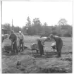 Gudsberga kloster, Husby socken. Undersökningen av Gudsberga klosterruin påbörjades den 10 juni. Bilden visar arbetet under de första grävningsdagarna. Längst till höger Karl Erik Eriksson.