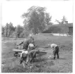 Gudsberga kloster, Husby socken. Undersökningen av Gudsberga klosterruin påbörjades den 10 juni 1959. Bild visar en av de första grävningsdagarna. Arbetet började med schaktning innanför den södra muren.