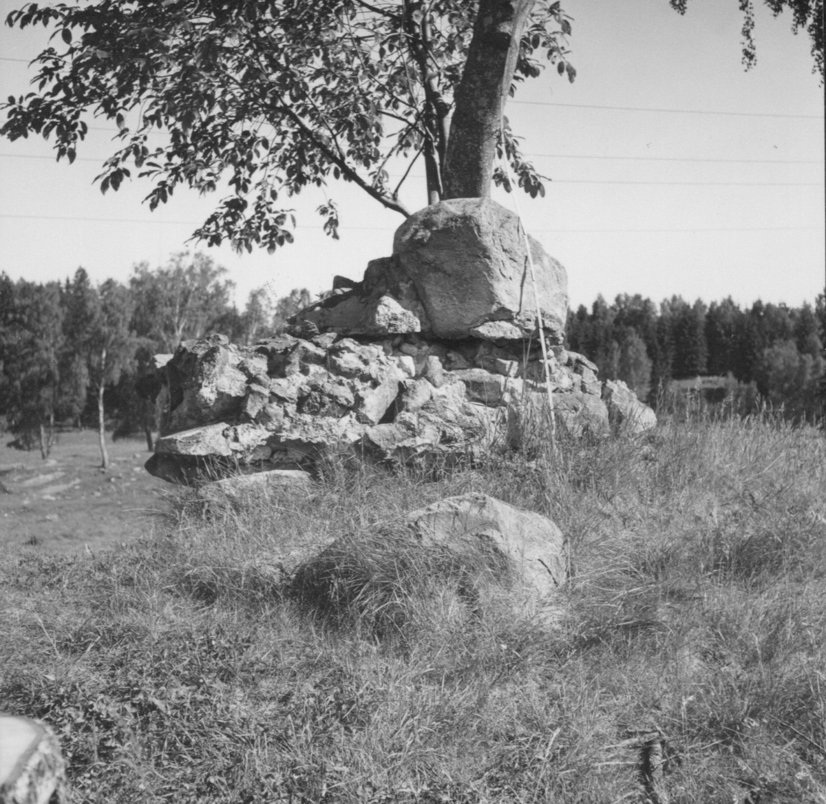 Fotografier och negativ från den arkeologisk utgrävningen i Gudsberga kloster (okänt år)
Består av dokumentationsbilder samt person- och arbetsbilder.