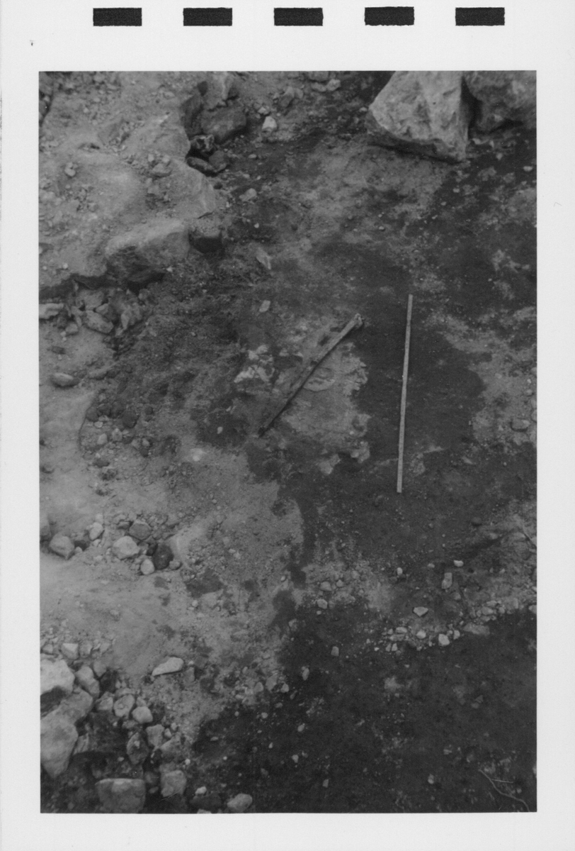 Fotografier av Åke Hyenstrand vid de arkeologiska utgrävningarna i Gudsberga kloster sommaren 1961.