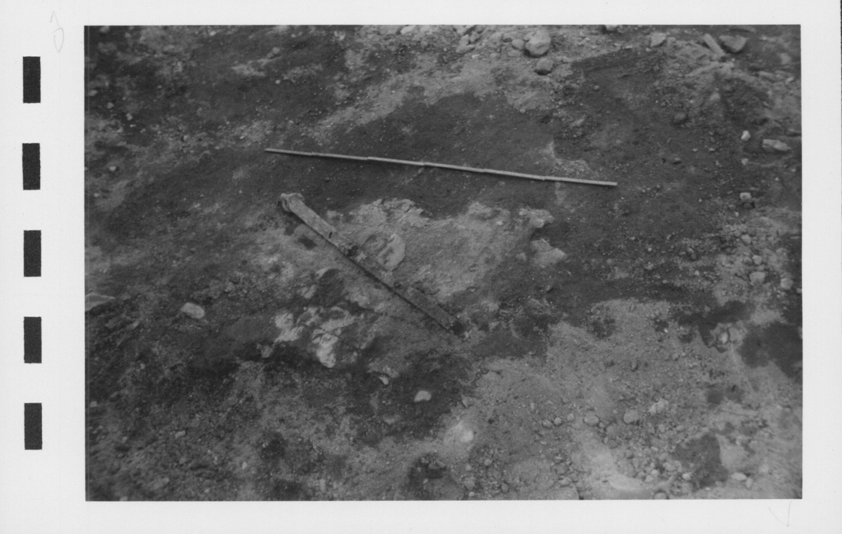 Fotografier av Åke Hyenstrand vid de arkeologiska utgrävningarna i Gudsberga kloster sommaren 1961.