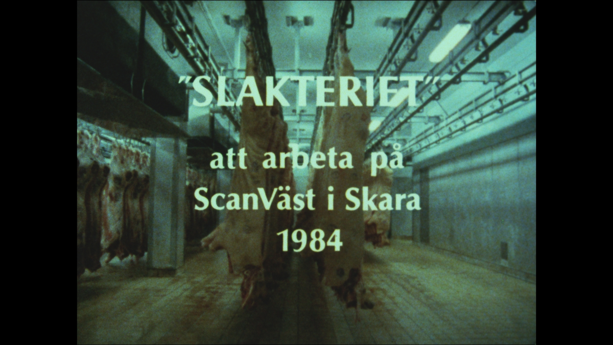 ”SAMDOK projekt Scan: Sommaren 1983 inleddes ett SAMDOK projektet på Scan Väst, Skaras största arbetsplats med ca 900 anställda. Det var då även den största arbetsplatsen inom livsmedelsindustrin i länet. Huvudsyftet  med undersökningen är att förbättra kunskaperna om människan i arbetet. Ett exempel på frågeställningar är den tekniska utvecklingens betydelse för den enskilde individen på företaget. En noggrann dokumentation av tillverkningsprocessen och den fysiska miljön var därför en viktig förutsättning.   

Arbetet resulterade dels i ett omfattande arkivmaterial, till nytta för den framtida forskningen, men också i utställningen ”Slaktarliv”.  I filmen deltar fyra livsmedelsarbetare på Scan Väst i Skara. Glimtar från framtidens matfabrik visas. Där finns styckningsrobotar och helautomatiserad korvtillverkning. Filmen visar bl.a skillnaderna mellan Scan Västs charkfabrik i Göteborg den modernaste i landet, och Scan Väst i Skara, som fortfarande gjorde korv enligt gamla metoder. På Länsmuseet i Skara ordnades även en stor debatt kring ”Maten i framtiden”.”