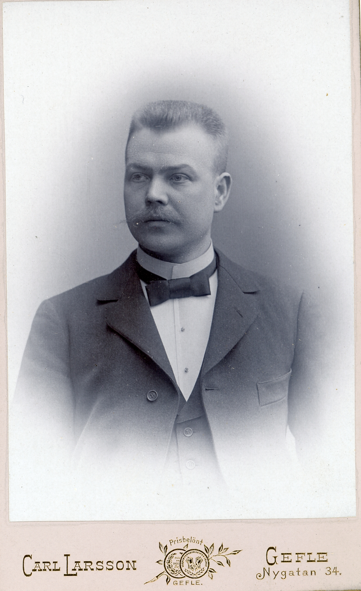 Mansporträtt.