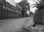 Stadsgata tidigt 1900-tal. (Eventuellt Stockholm). På bilden syns även skuggan av fotografen samt en hund.