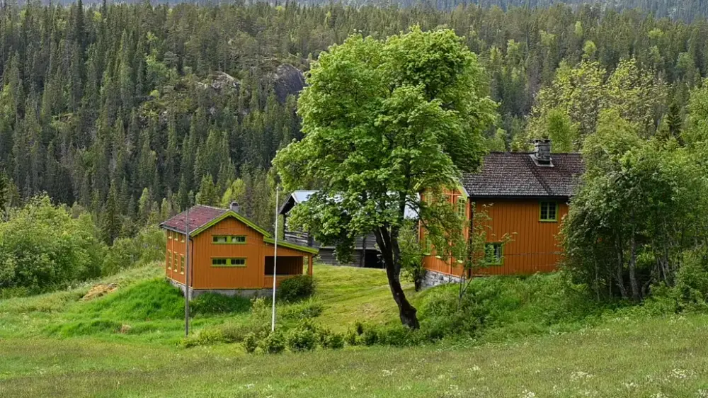 Foto: Mari Tveiti / Nynorsk kultursentrum