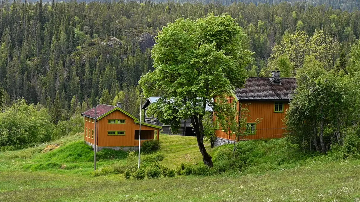 Foto: Mari Tveiti / Nynorsk kultursentrum