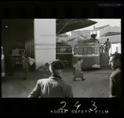NMA.0142176