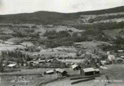 Postkort
Rukkedalen Nesbyen sommer