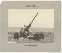 Bofors, 40 mm fältautomatkanon.
