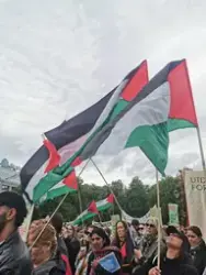 Demonstrasjon foran Stortinget med krav om at politikerne skal stemme for å trekke oljefondet ut av Israels økonomi, 4. juni 2025. Palestinske flagg.