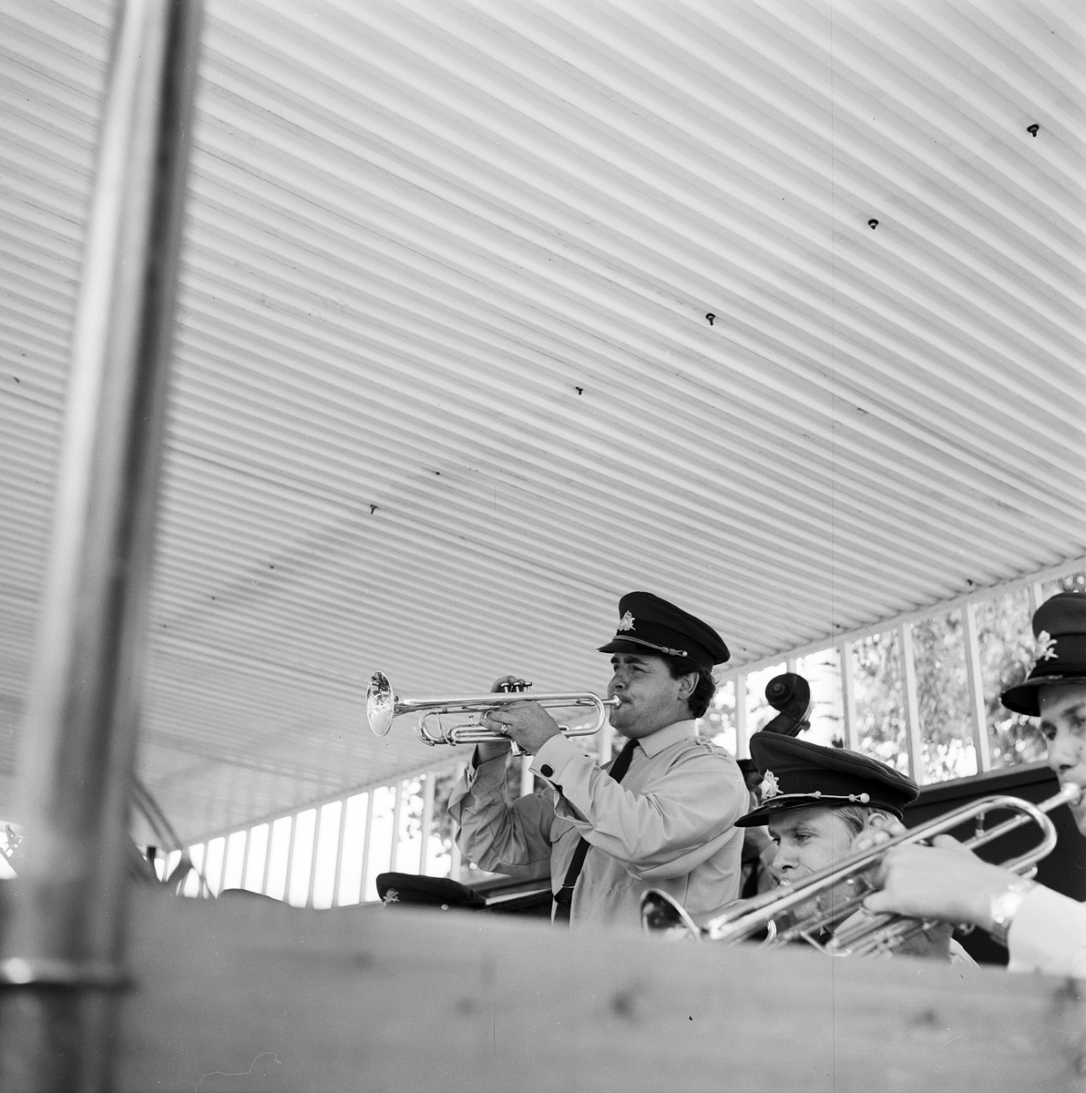 Esplanadkonsert, 50-årsjubileum i Tierp, Uppland 1970