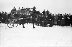 Travkjøring på Tunevannet 1940-45 under krigen, islagt vann.