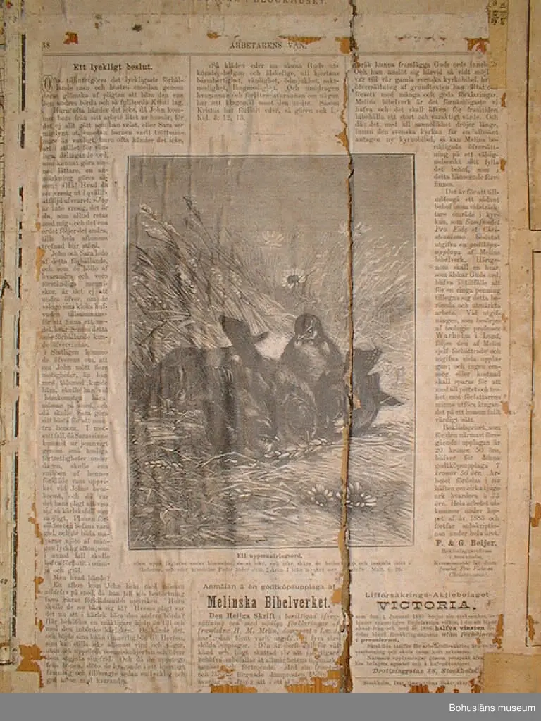 Väggen består av tio brädor, säkrade vid nedtagningen på baksidan med två tvärgående samt en diagonal planka. Vid gåvotillfället delades väggen i två för att kunna bäras ner för den smala vindstrappan.
Rader med äldre nubb samt papprester sitter jämnt fördelade över framsidan. Kan vara rester av ett sekundärt väggfält som placerats över det befintliga för 50-100 år sedan.
Tjugotvå minnestavlor är klistrade längs vänstra och högra kanten samt som en korsliknande form på mitten. Däremellan är sex tidningssidor från "Morgonbladet" (landsortsupplagan) år 1890 samt tio fragment från tidningar uppsatta. Det finns också två tryckta blad med "varningsord" från år 1888 samt fyra blad från "Arbetarens Vän", 1880-talet. Tre kartor från ca 1884 över Canadian Pacific Railway, Manitoba och Nordvesten sitter överst i mitten.
De flesta minnestavlorna är tillägnade Se(ä)lma Kin(d)gren på födelsedagen den 9 april åren 1868-1871. Två är tillägnade Carl på hans namnsdagar 28 januari åren 1868 och 1869.
Pappret har gulnat med tiden. Ett flertal rejäla skadedjursangrepp på framförallt minnestavlorna. 

Väggens baksida har fyra blad av "Morgonbladet"s första sida från år 1890 samt två fragment. På två av första sidorna står "AG. Sellberg, Lycke" skrivet med blyerts.
Se bilaga i Bilagepärmen.