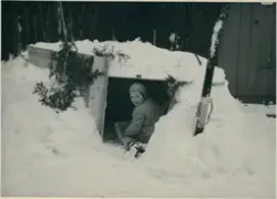 Torborg