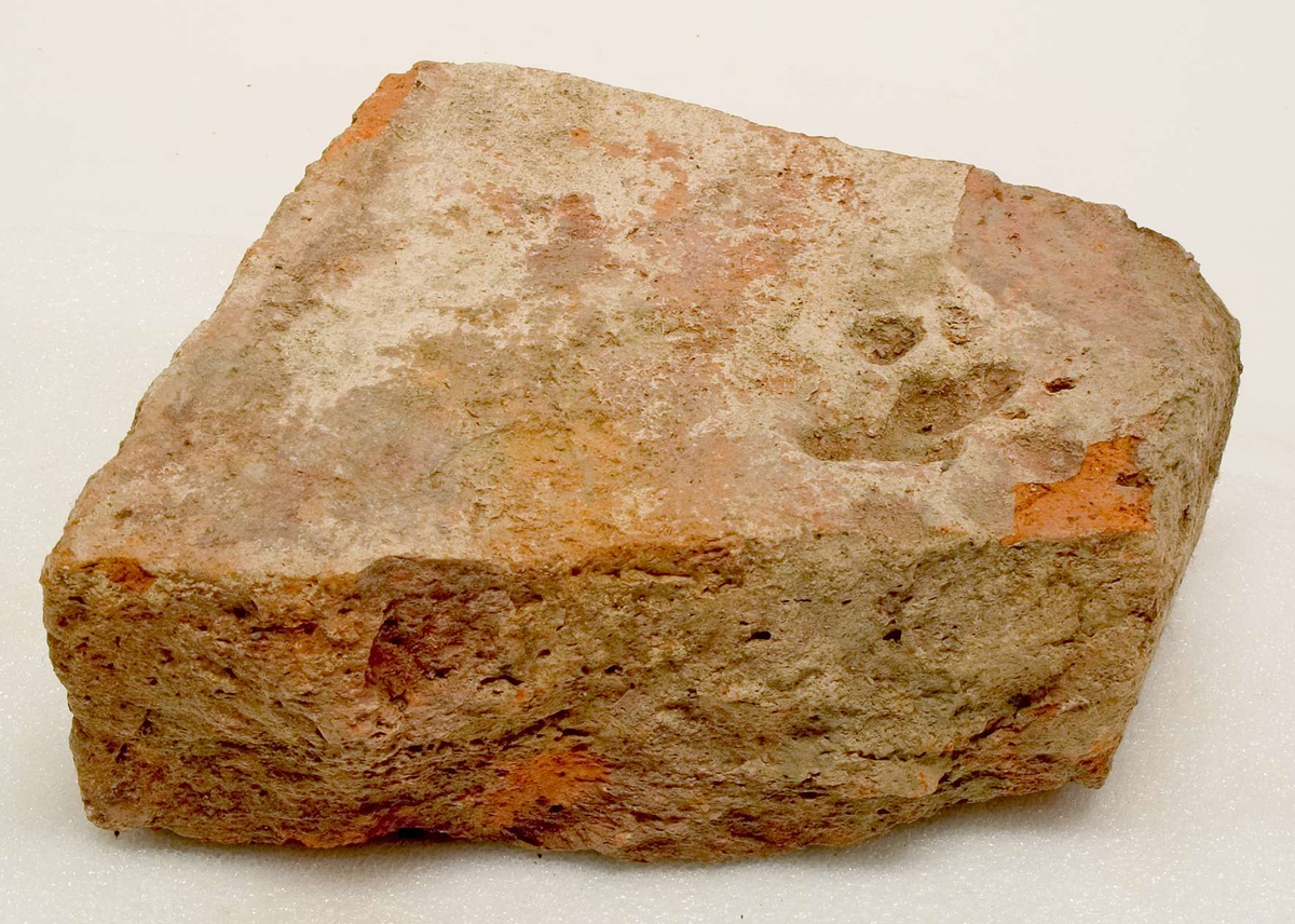 Formtegel, hela tegel och fragment, totalt 12 st.

