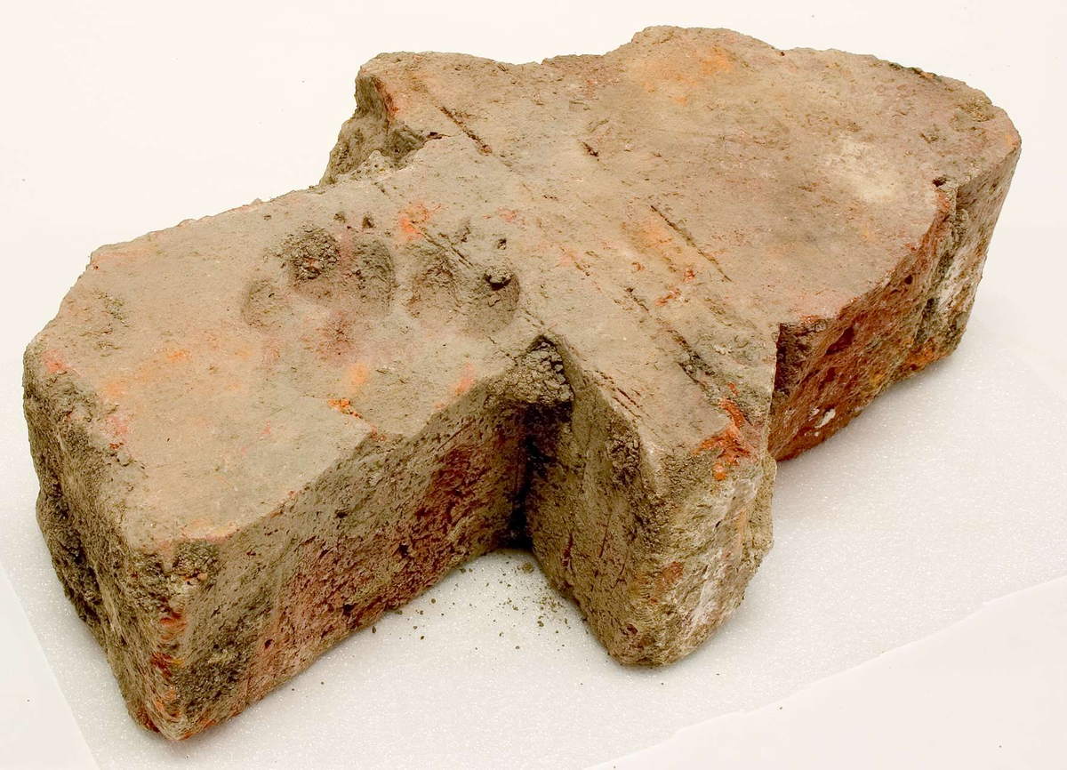 Formtegel, hela tegel och fragment, totalt 8 st.
