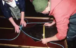 Veiing og måling av kveite