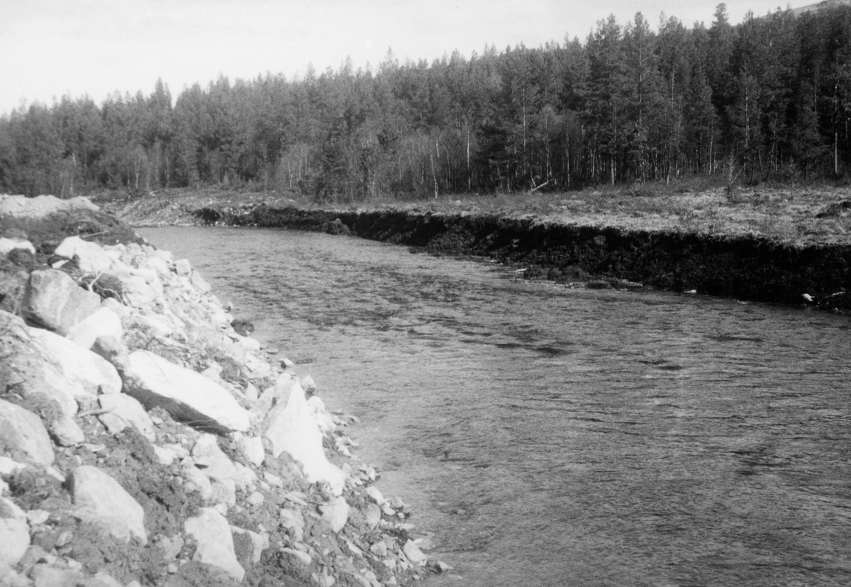 Oversiktsbilde fra dammen mot østre kanalvegg. 