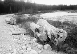 Fra befaring med dir. Sparby. Gj. ligg etter fløtingen. Noen få tømmerstokker på elvebredden.