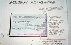 Plakat som viser biologisk filtrering av vann