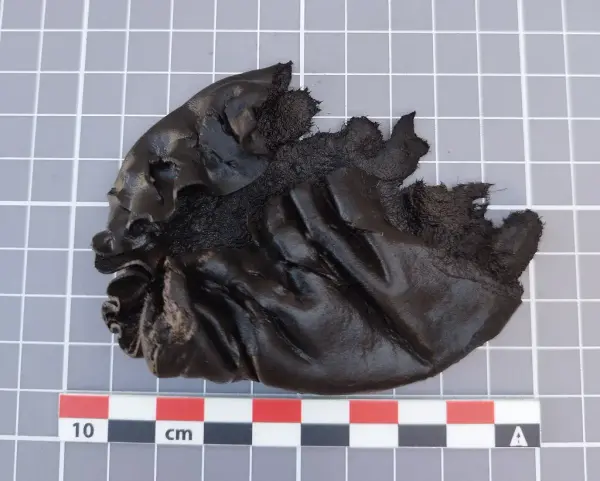 Lærfragment av en middelaldersk veske fra utgravning i Bjørvika, Oslo, vist på rutenett med målestokk.