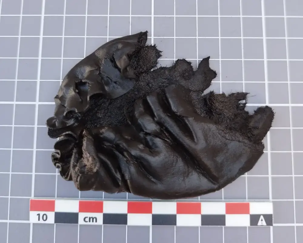 Lærfragment av en middelaldersk veske fra utgravning i Bjørvika, Oslo, vist på rutenett med målestokk.