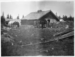 Kolbusætra året 1933. Størhuset var eid av  Ole Opsahl, Oskar Overn, og Maurits Faraas. På bildet ser vi Melvin Kvaksrud og Anna Stensvold (Kvaksrud). Bildet er fra en artikkel i Totens Blad, og var ledsaget av følgende tekst:
Livet forsvinner , dagene går. Tilbake er bare minner fra ungdommens vår. Minner om seteren derut i åsen med lokk og sang - ku og kalv på båsen.
Titt en tanke til meg kommer. Tenk om jeg kunne få få igjen en eneste sommer.
Å fly lett over myr og nut, furulier, og syngende gå på de kjære gamle seterstier.
Men setren den har sunket i grus. Snart er det bare tuftene som vidner.
Her stod en gang et seterhus.
Også i livet kommer en høst. En vemodig tanke, men også en trøst.
A.K.
