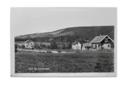 Bebyggelse langs Sagvollsletta på Lierskogen, en del av Sørlandske hovedvei, rundt 1930. Lastebilen er på vei mot Tveitadalen og nærmer seg landhandleriet til Ole M. Evensen. Støvskyen bak bilen viser at veien fortsatt har grusdekke. I 1932 la Statens vegvesen betong på strekningen som en prøve med tanke på permanent veidekke.