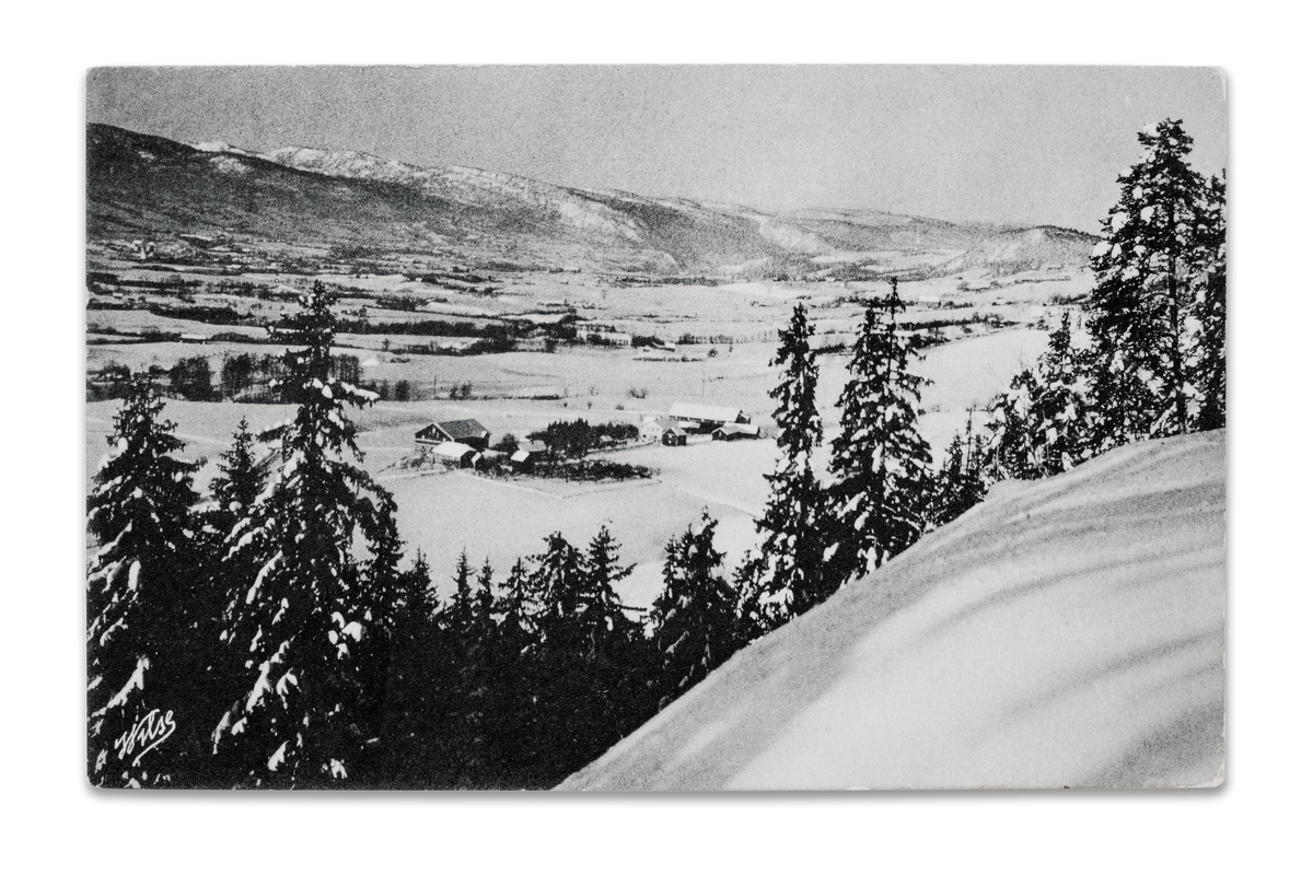 Idyllisk vintermotiv med utsikt mot nordvestre deler av Lierdalen. Postkort stemplet 1931. Midt i bildet ser vi to Sørumgårder.
