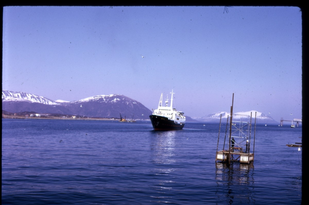 Hurtigruteskipet MS Lofoten (1963) på veg gjennom Sortlandssundet