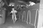 Cykeltävling för barn på Rotundan den 30 maj 1950